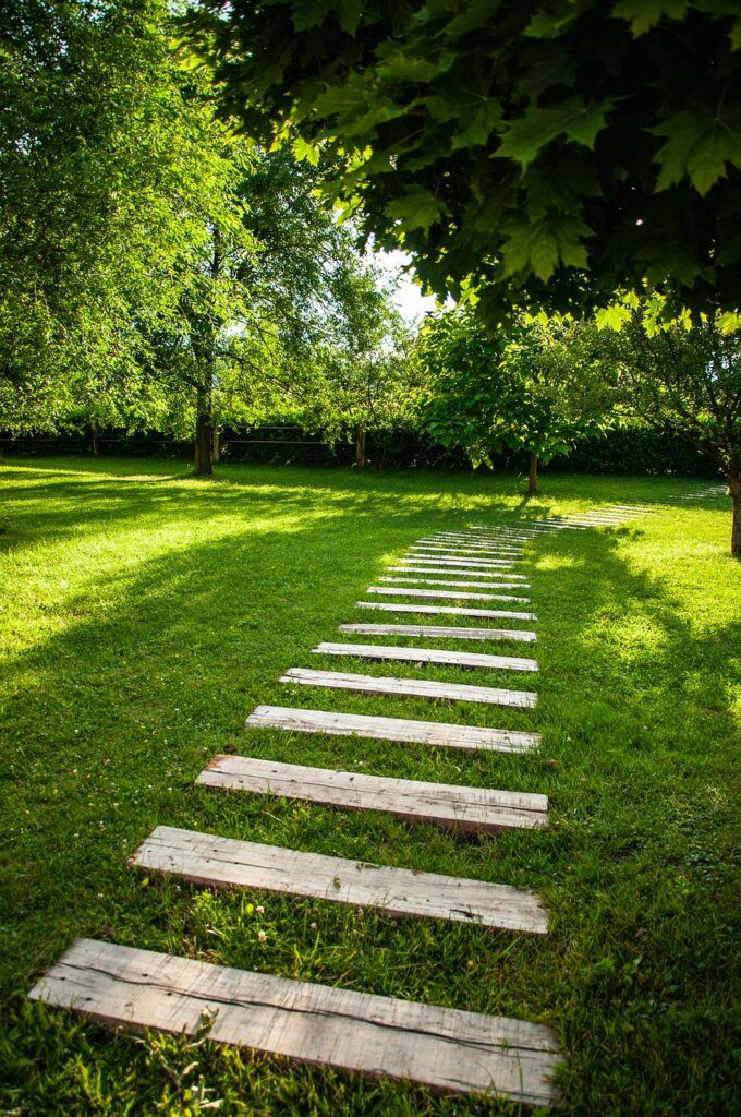 path, green, nature, forest, environment, trail, grass, landscape, trees, tree, field, away, autumn, natural, scenic, hiking, pathway, shadow, growth, park, fear, journey, choice, hill, farm