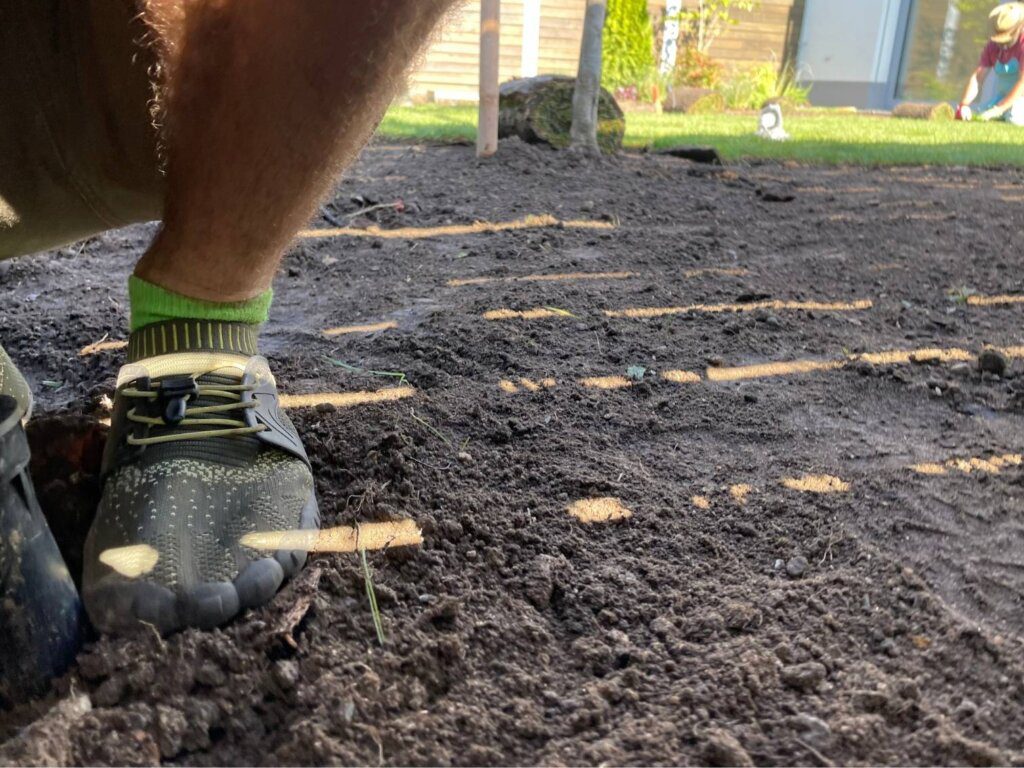 Před realizací trávníku se zamyslete nad těmito věcmi