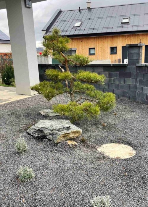 bonsaj-niwaki
