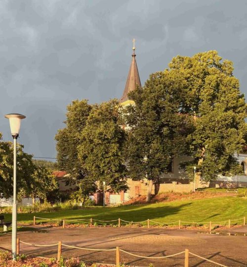 park-lipuvka-realizace-vysadeb