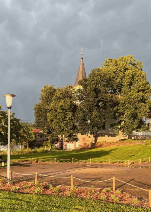 park-lipuvka-realizace-vysadeb